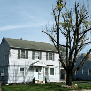 house realtor 2 illinois
